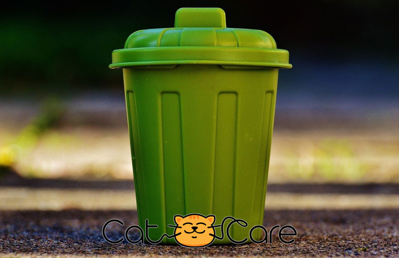 how to trash cat litter