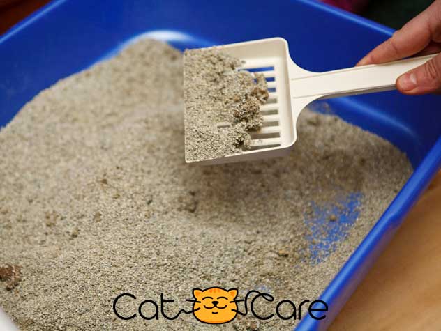 تمیز کردن خاک گربه